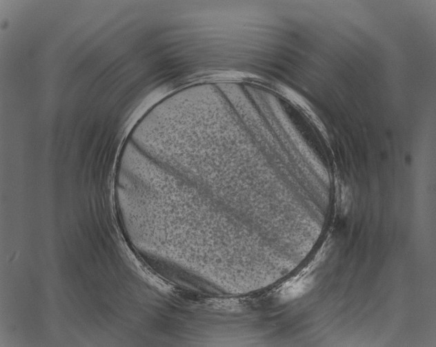 X0000062631194200601111052