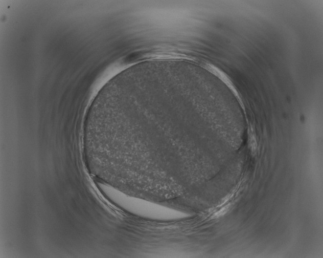 X0000062631195200601111052