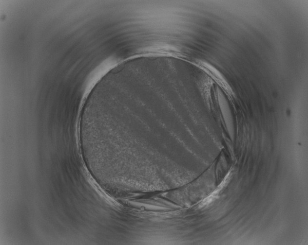 X0000062631196200601111052