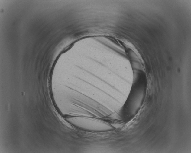 X0000062631197200601111052