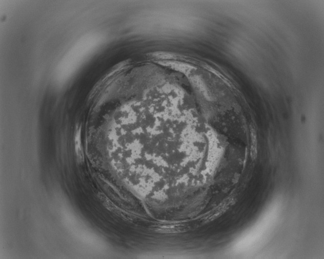 X0000062631198200601111052