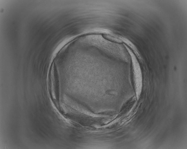 X0000062631199200601111052