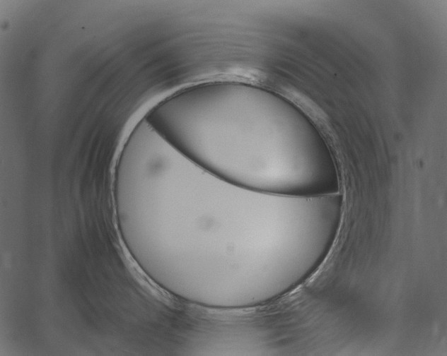 X0000062631200200601111052