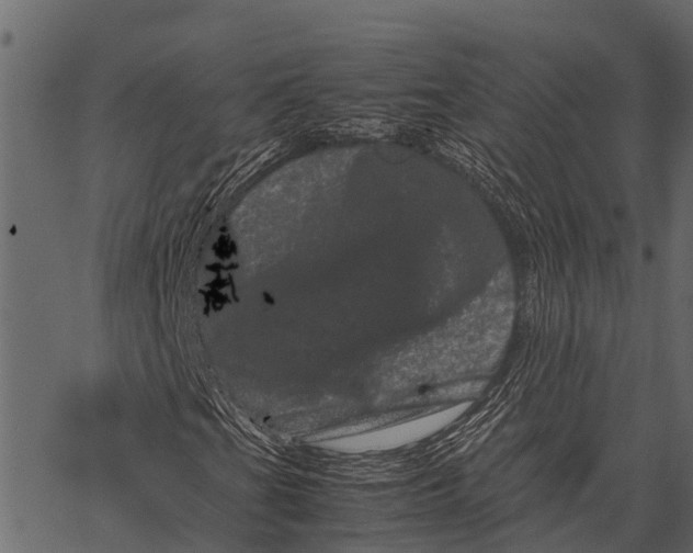 X0000062631201200601111051