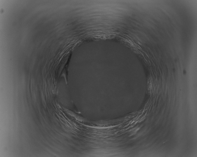 X0000062631202200601111051