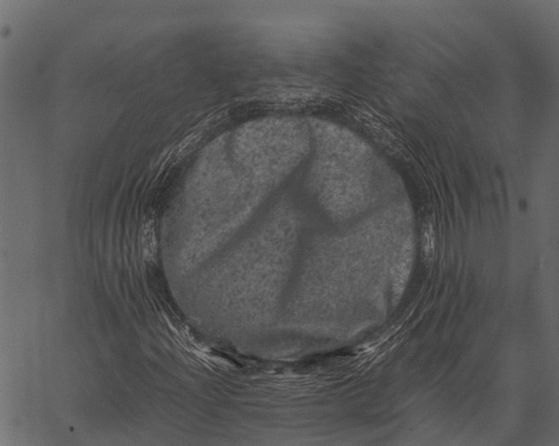 X0000062631204200601111051