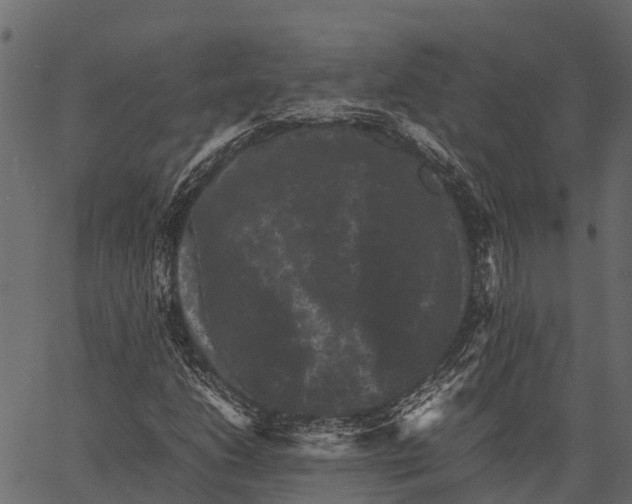 X0000062631206200601111051