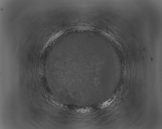 X0000062631207200601111051