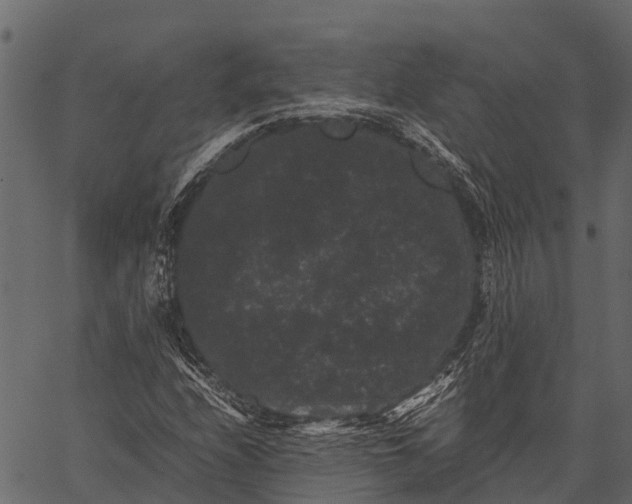 X0000062631208200601111051