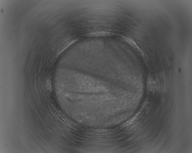 X0000062631209200601111051