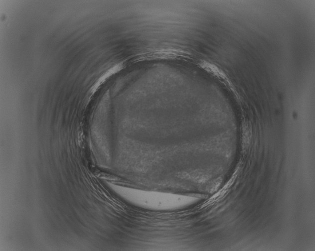 X0000062631210200601111051