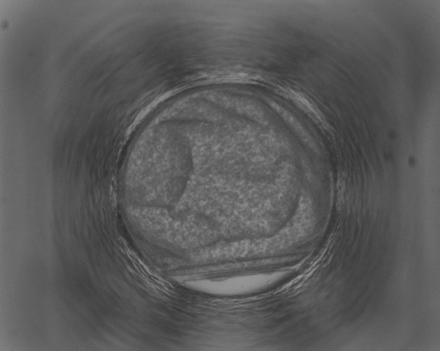 X0000062631212200601111051