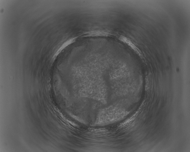 X0000062631213200601111051