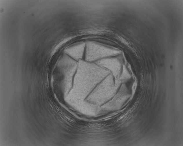 X0000062631214200601111051