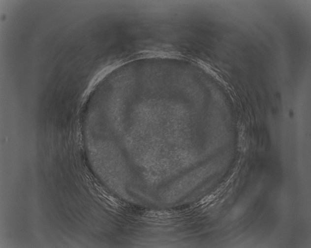 X0000062631215200601111051