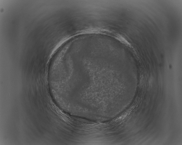 X0000062631216200601111051