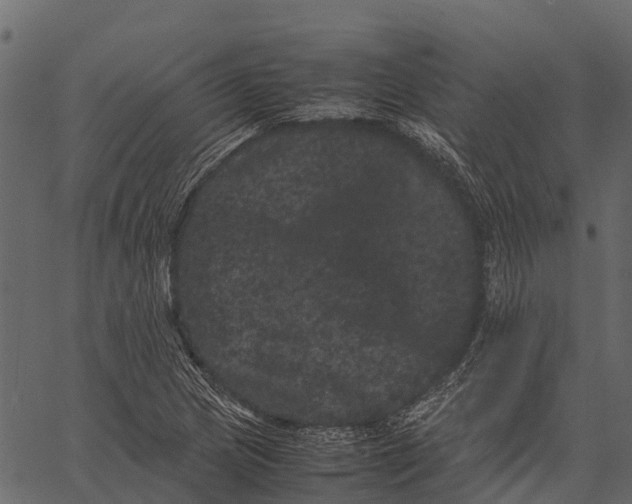 X0000062631217200601111051