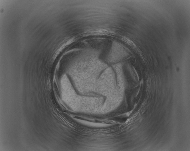 X0000062631218200601111051