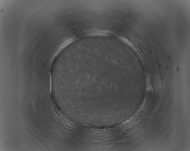 X0000062631219200601111051