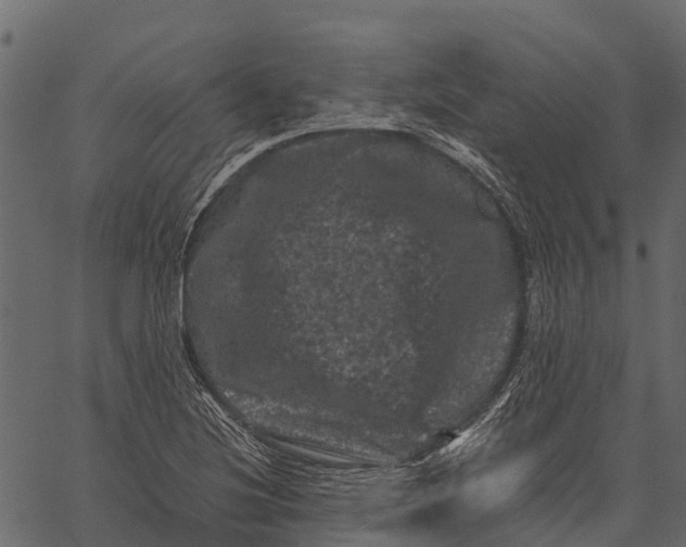 X0000062631220200601111051