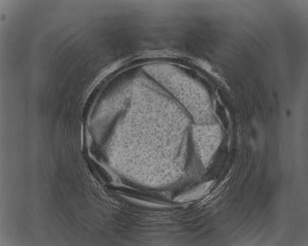 X0000062631221200601111051