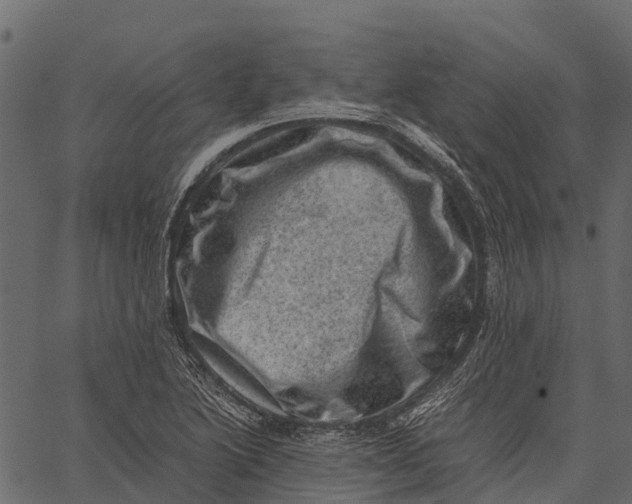 X0000062631222200601111051