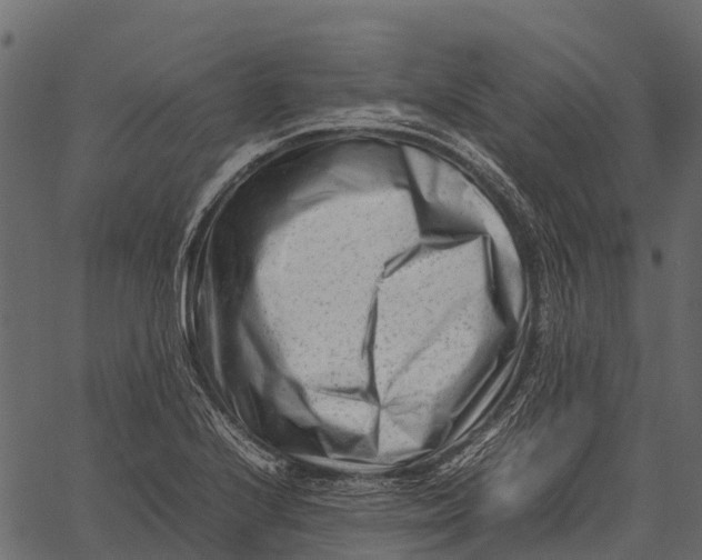 X0000062631224200601111051