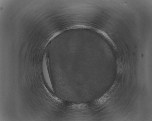 X0000062631225200601111051