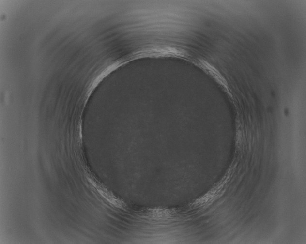 X0000062631226200601111051