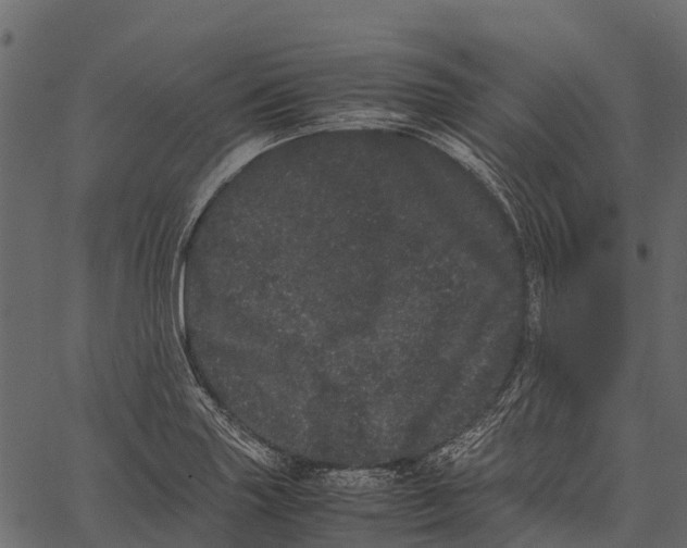 X0000062631227200601111051