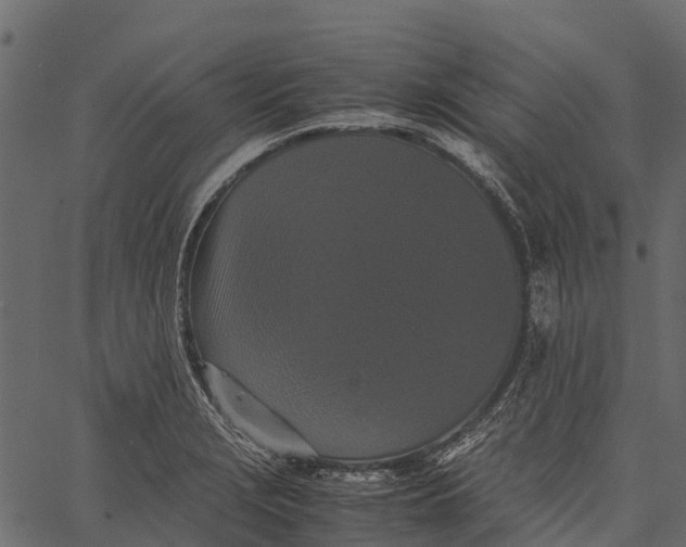 X0000062631229200601111051