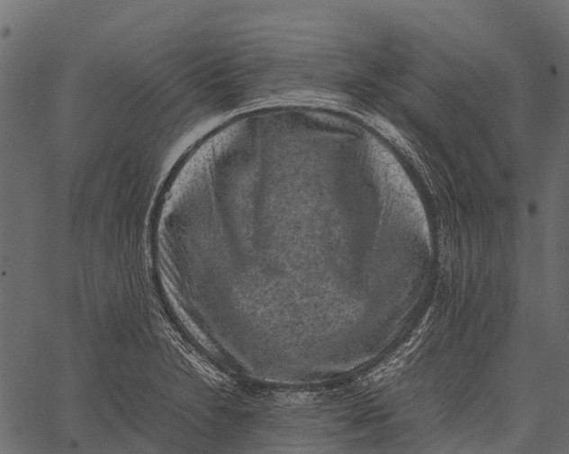 X0000062631230200601111051