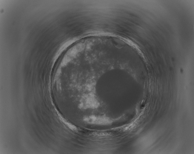 X0000062631231200601111051