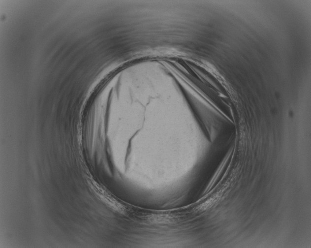 X0000062631232200601111051