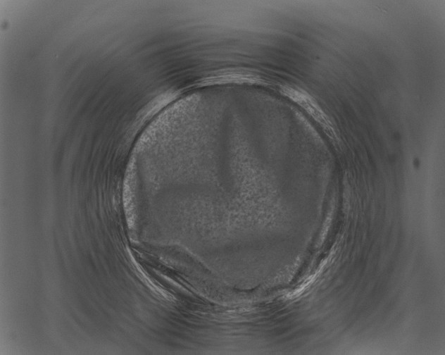 X0000062631233200601111051