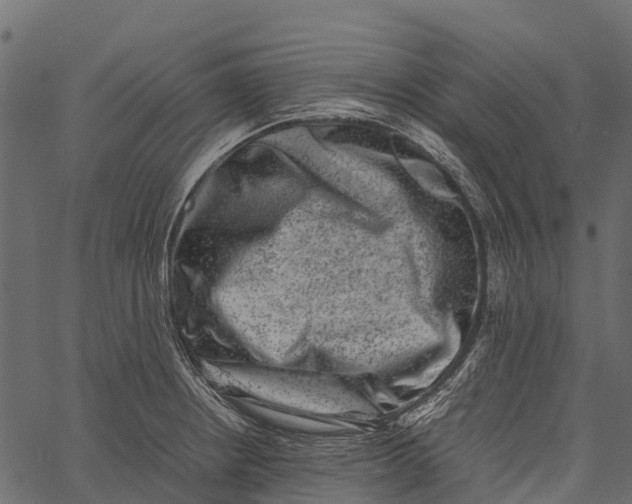 X0000062631234200601111051