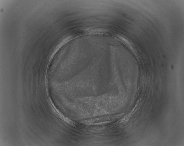 X0000062631235200601111051