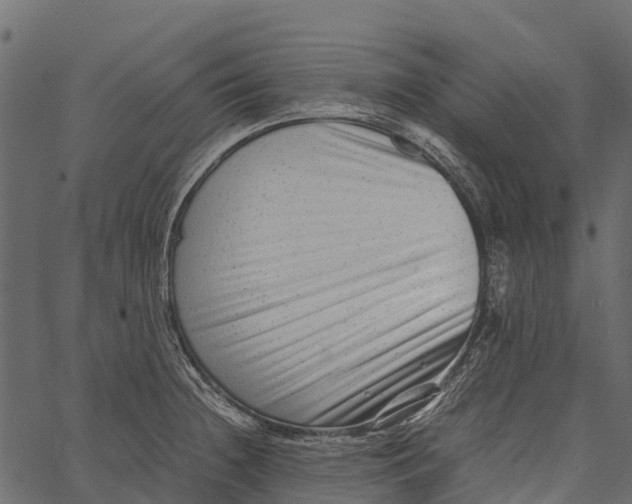 X0000062631236200601111052