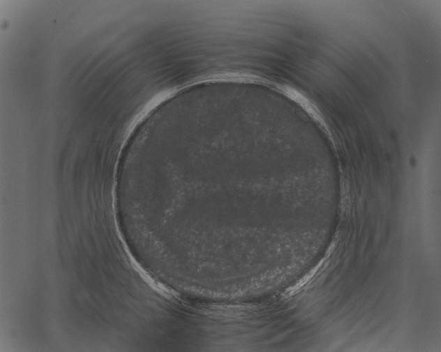 X0000062631237200601111052