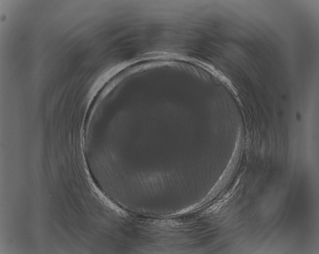 X0000062631239200601111052