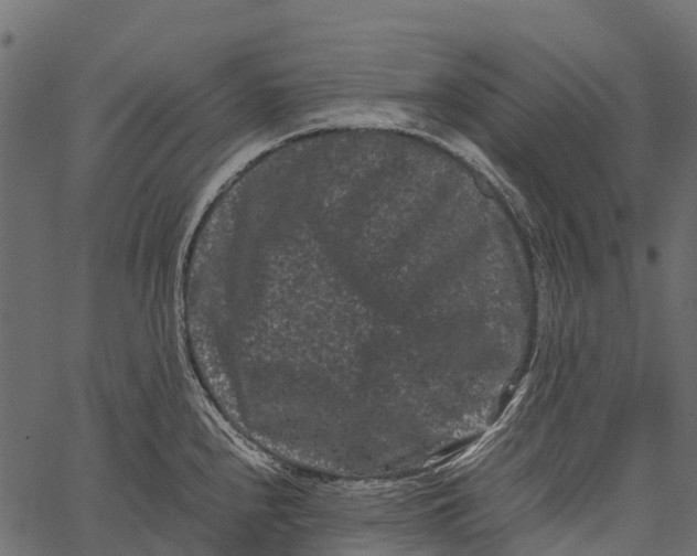 X0000062631240200601111052