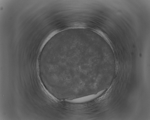 X0000062631243200601111052