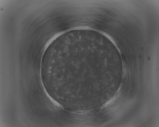 X0000062631245200601111052