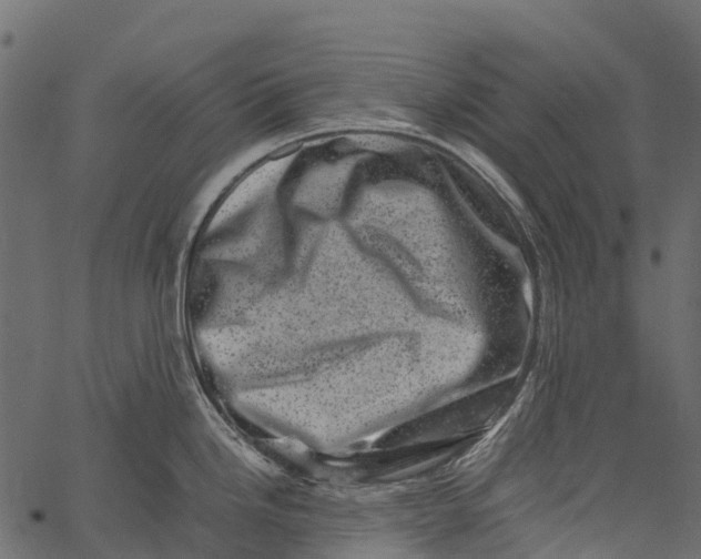 X0000062631246200601111052