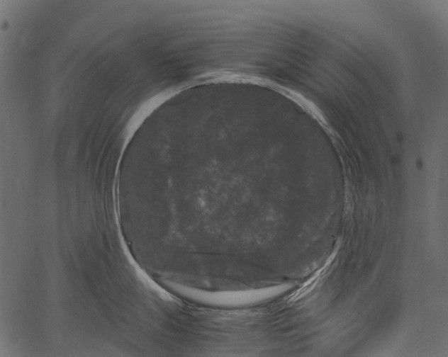 X0000062631247200601111052