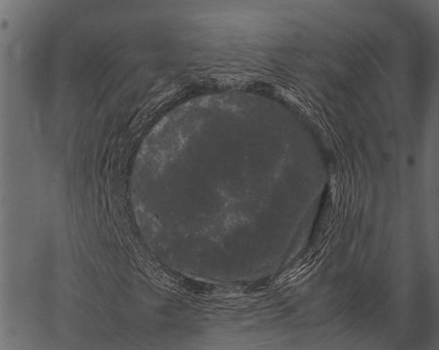 X0000062631249200601111051