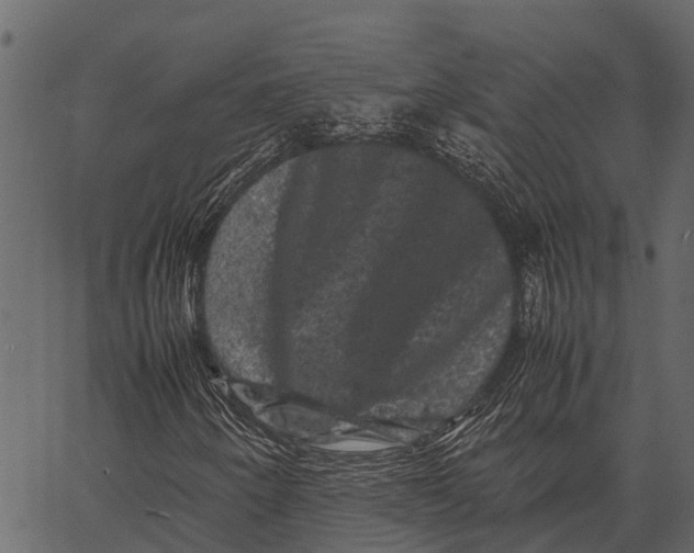 X0000062631250200601111051