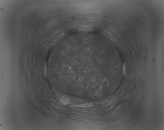 X0000062631251200601111051