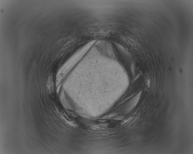 X0000062631252200601111051