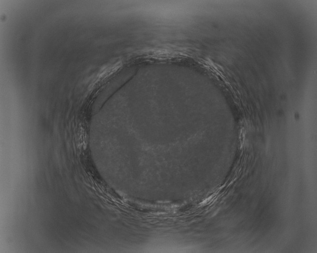 X0000062631253200601111051